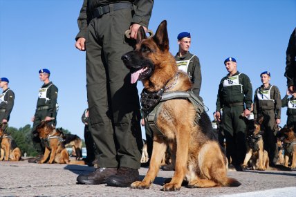 кінологи НГУ