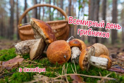 картинка с днем грибника