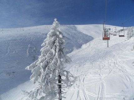 Гора Драгобрат у Карпатах