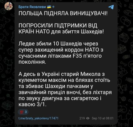 Мем о том, как поляки сбивали шахеды