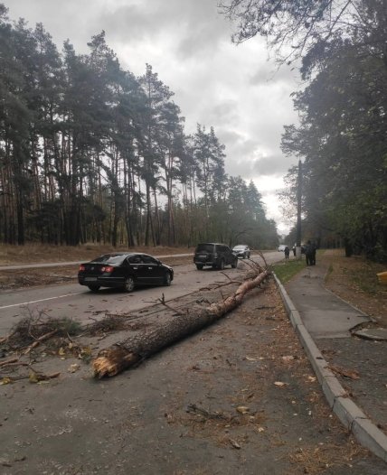 2e993d0b d953f8e15ea962f8778a314e399383a8 Економічні новини - головні новини України та світу