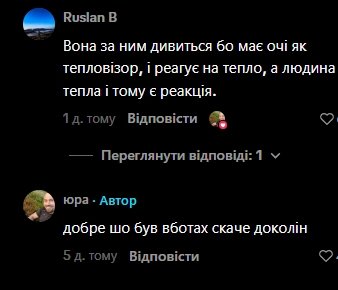 Комментарии пользователей