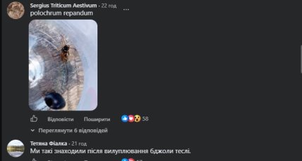 Комментарии пользователей
