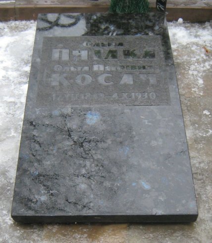 Могила Елены Пчелки