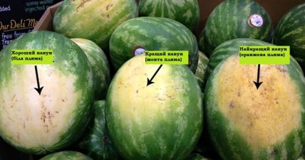 Как выбрать самый сладкий арбуз в магазине