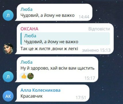 Комментарии к видео, скриншот