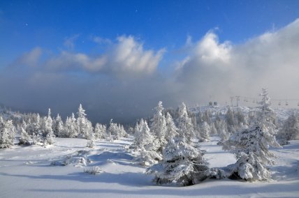 Гора Драгобрат у Карпатах