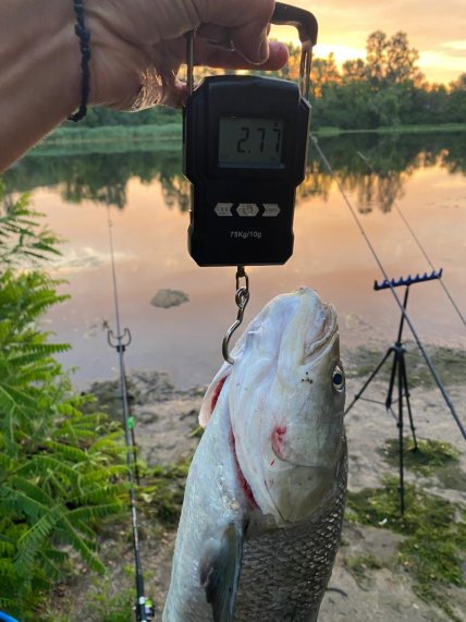Рыбалка Тарас поймал жереха