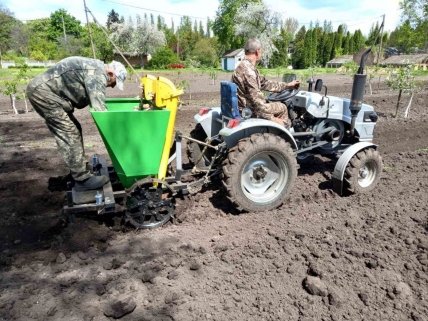 Працівники школи садять картоплю за допомогою мінітрактора