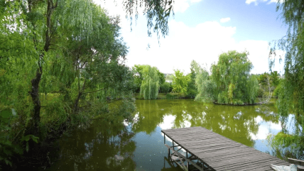 Павло Зібров має власний вихід до ставка