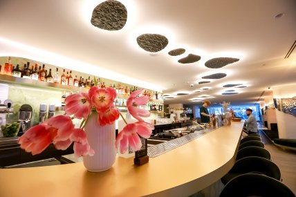 Корені, Буковель, Тавель