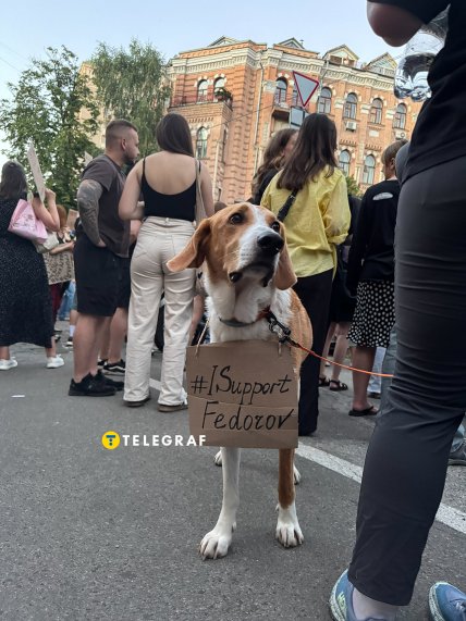 Протест проти відставки Федорова у Києві 17.07.2026