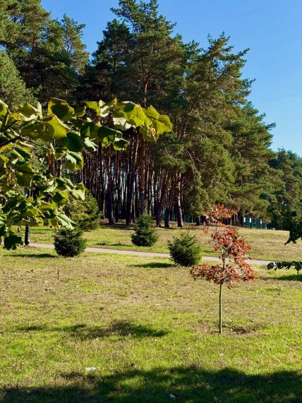 Село Счастливое