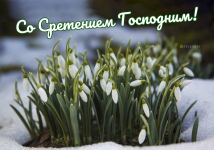 Со Сретением Господним 2 февраля