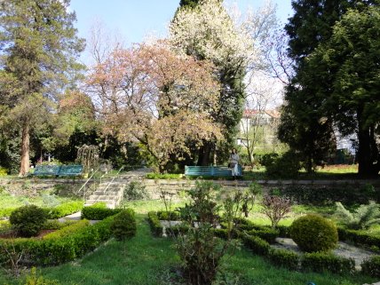 Ботанический сад в Ужгороде