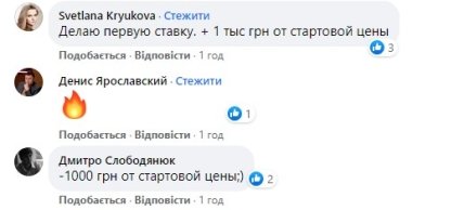 Христина Тишкун виставила сукню на аукціон 1