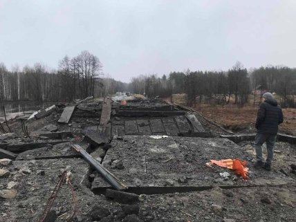 Чернобыльская зона