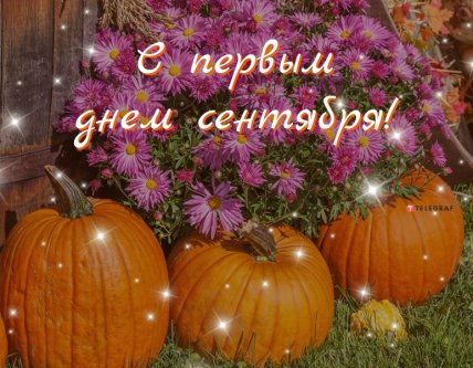 открытка с первым днем сентября 2022