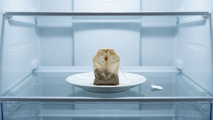 Чайный пакетик в холодильнике