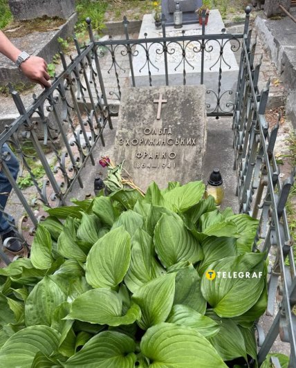 Могила дружини Івана Франка
