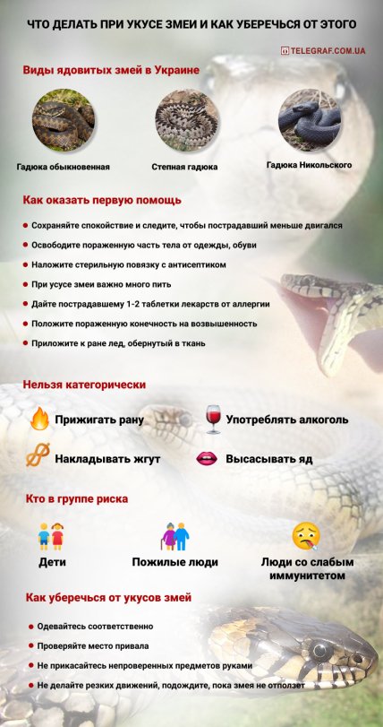 Инфографика об укусе змеи