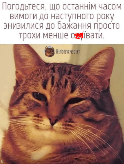 Мем з котиком про Новий рік