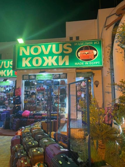 Новус у Єгипті