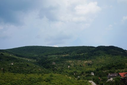 Черная гора, ботанический заказник