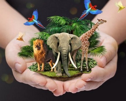 Куда пойти с ребенком на выходных 12 и 13 сентября: зоологическая школа в зоопарке