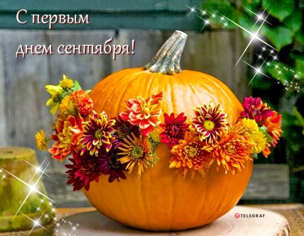 открытка с первым днем сентября 2022