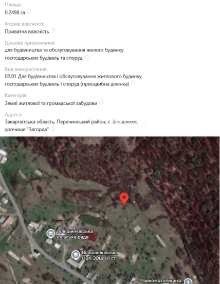 Закарпатье, певица Елка