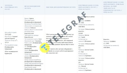 Декларація Салміна