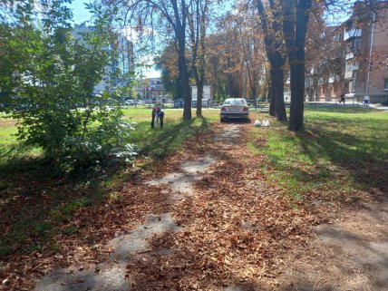 Де в Україні здають каштани