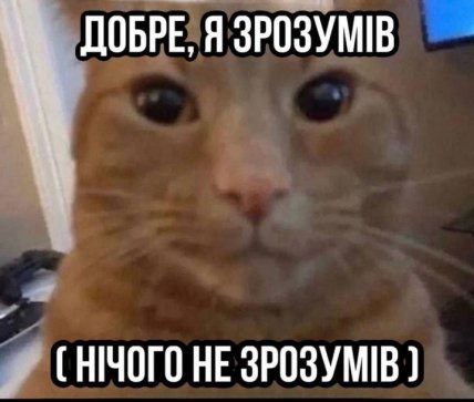 Мем с рыжим котом я ничего не понял