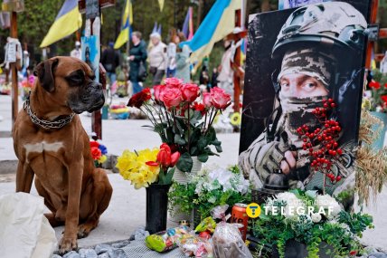 Навідатись до могил приходять також вірні друзі