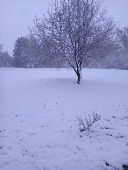 Сніг в Україні наприкінці квітня 2026