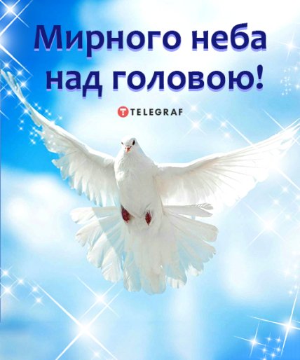 День миру та кохання