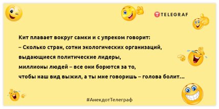 34083a6f-a87e6324e3e21b55948e52423f9bfe58.jpg?v=4262_1