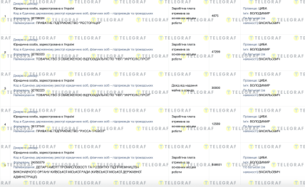 Декларация Цыбы Владимира