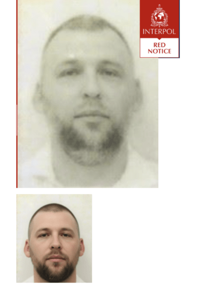 Сергей Моисеев (фото: interpol.int)