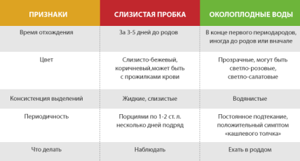 Отошла пробка. Когда рожу? - ответов на форуме ropejumpingvrn.ru () | Страница 2