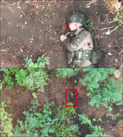 Россия пустиа женщин на штурм