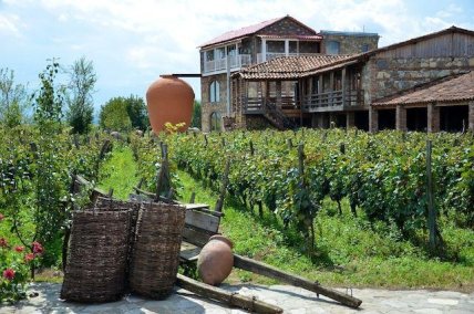 семейная афиша 24 и 25 сентября выходные с ребенком в киеве, куда сходить с ребенком в выходные, куда пойти в киеве на выходных, куда пойти с ребенком 24 и 25 сентября