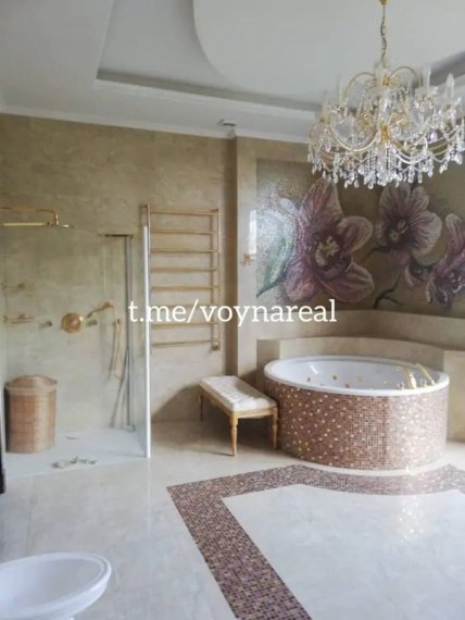 Симоненка будинок в Київській області