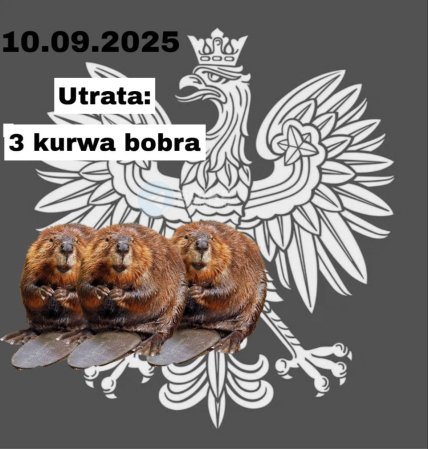 Курва бобер мем о шахедах