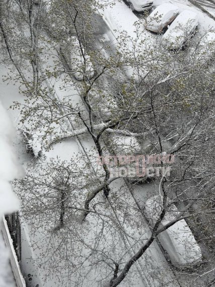 Снег в Москве 27.04.2026