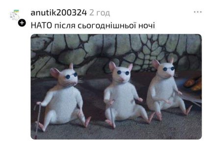 НАТО не видит опасности, мем