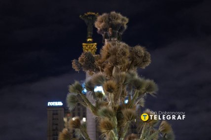 Святковий дідух на Майдані Незалежності в Києві 24.12.2025