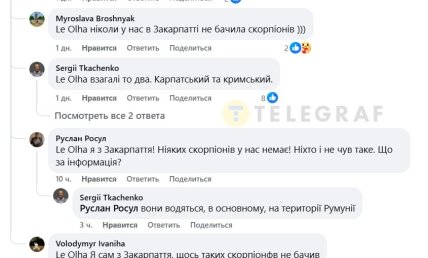 Коментарі під фото з мертвим скорпіоном на Київщині