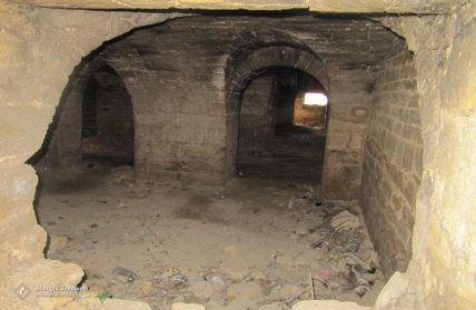 Садиба людини-вовка (палац Дубецьких-Панкеєвих)